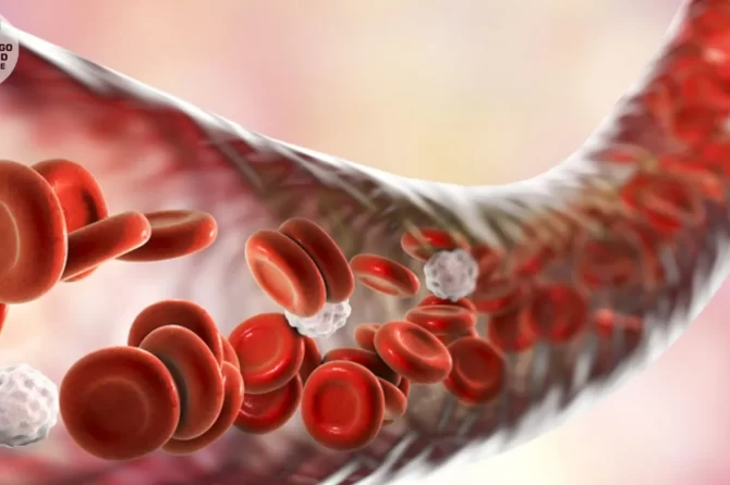 Células madre de la sangre del cordón umbilical